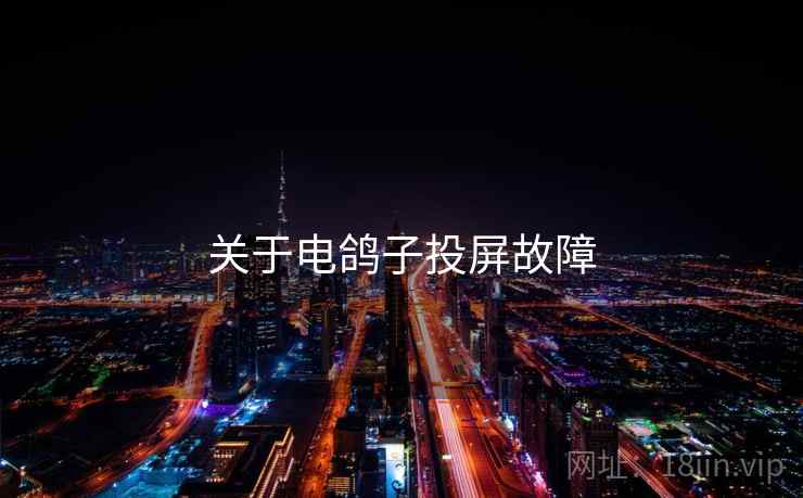 关于电鸽子投屏故障