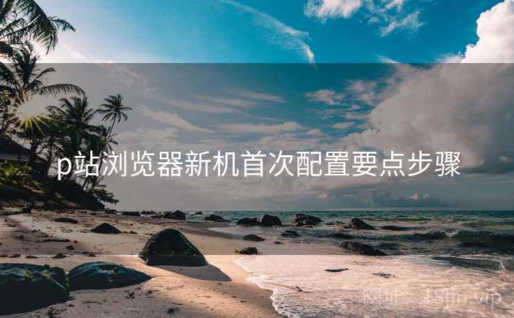 p站浏览器新机首次配置要点步骤