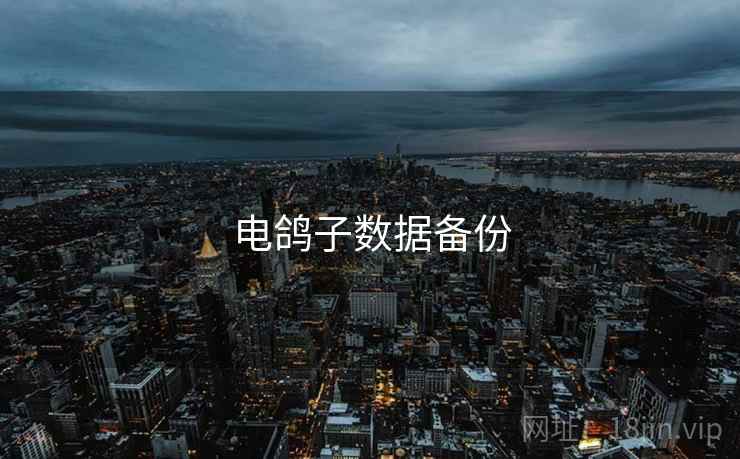 电鸽子数据备份