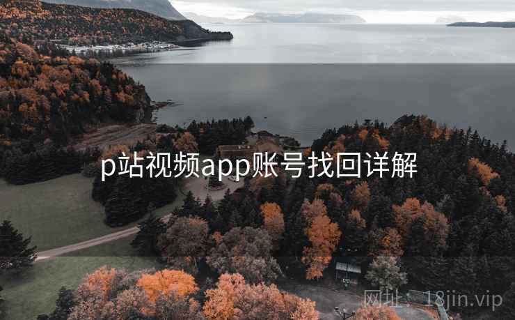p站视频app账号找回详解