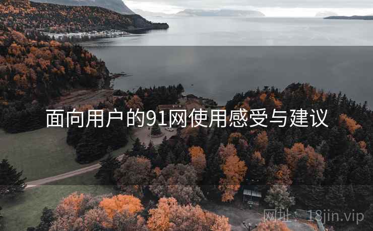 面向用户的91网使用感受与建议