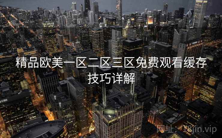 精品欧美一区二区三区免费观看缓存技巧详解