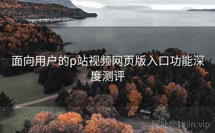 面向用户的p站视频网页版入口功能深度测评
