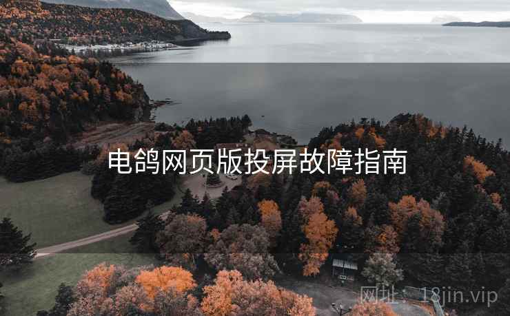 电鸽网页版投屏故障指南