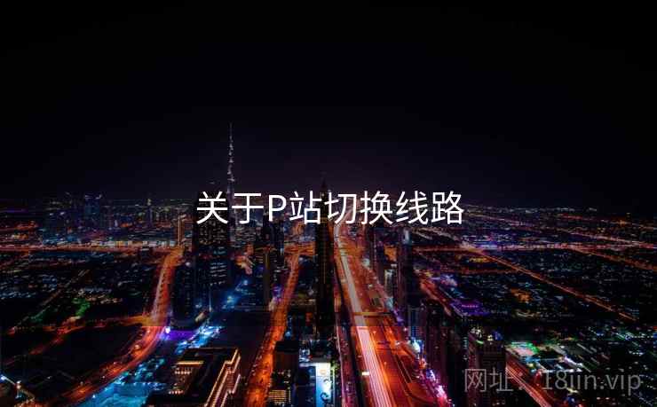 关于P站切换线路